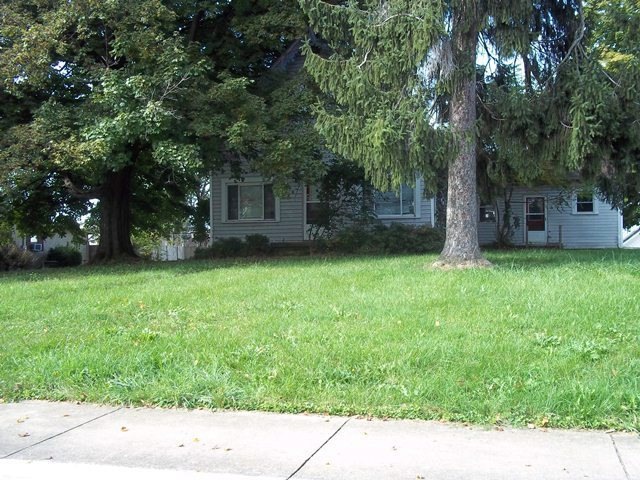 Primary Photo