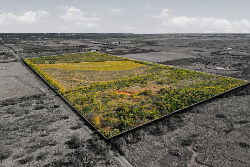 TBD 80 Acres Cr 150, Tuscola, TX 79562 - photo 1