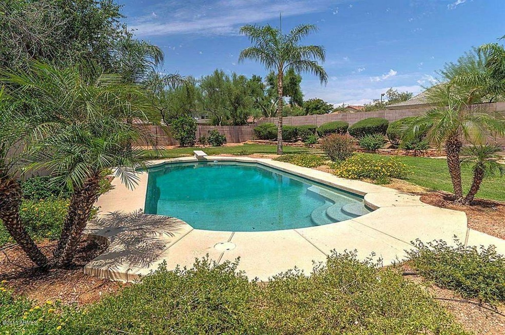 Sparkling Pool