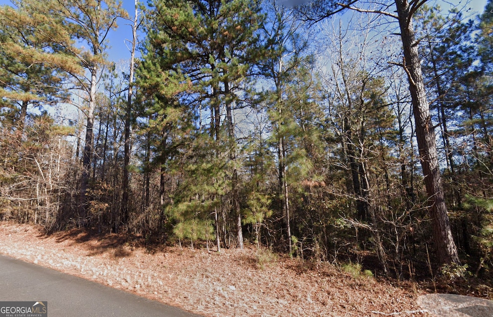 6323 Keith Rd, Hogansville, GA 30230 - photo 1