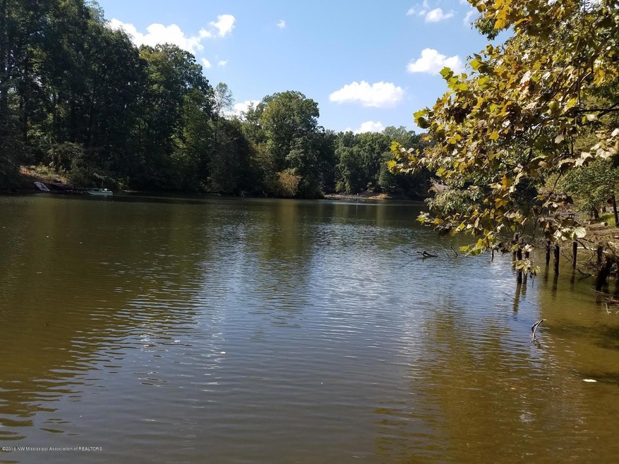 lake view 11111 horeshoe bebd