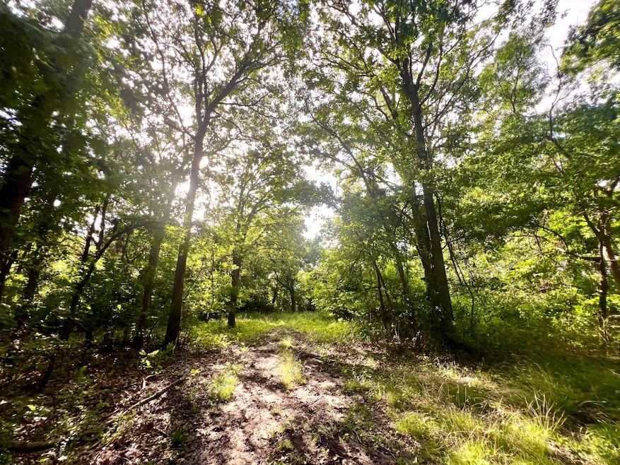 12295 S Bee Emet Rd, Milburn, OK 73450 - photo 1