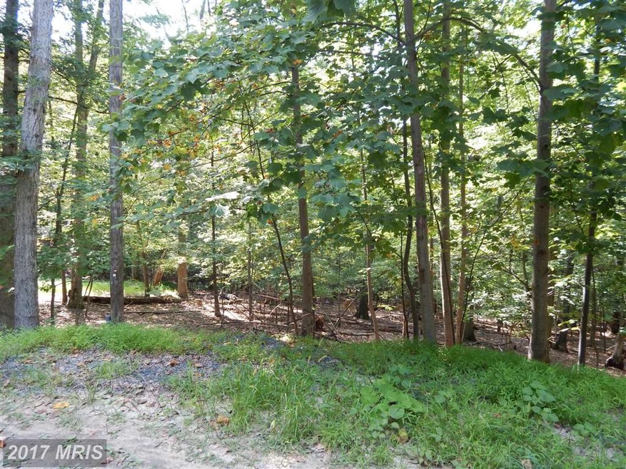 LOT 44 Boiling Springs, Gerrardstown, WV 25420 - photo 1