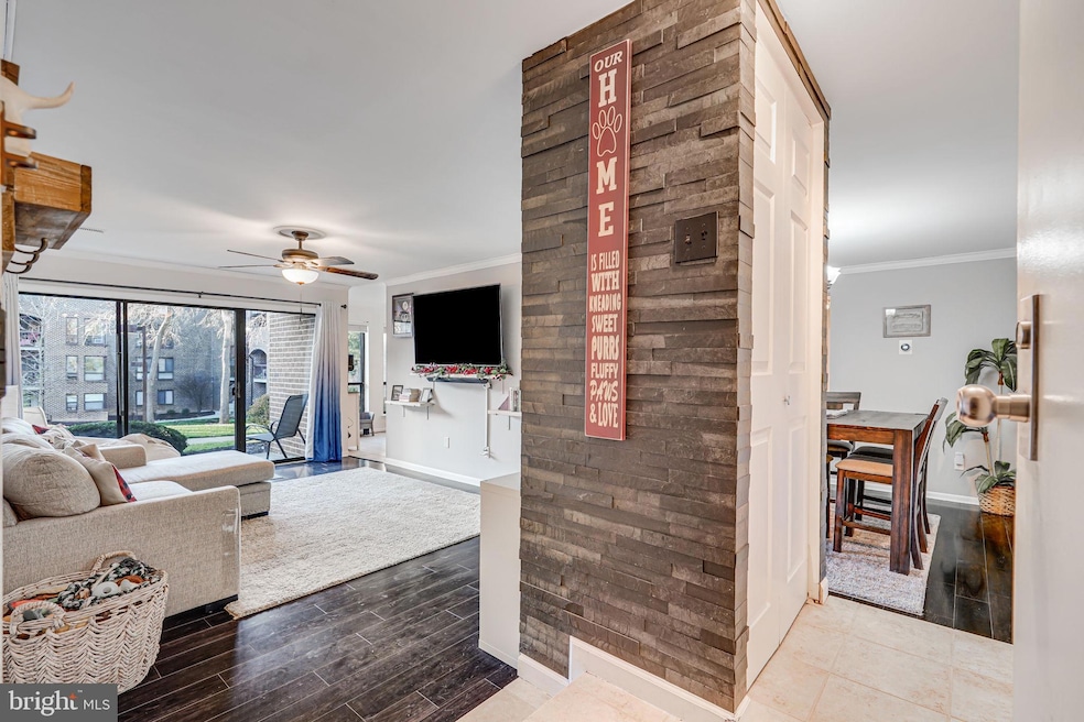 Chestnut Grove Condominiums unit 11236-161, Reston, VA 20190 - photo 1