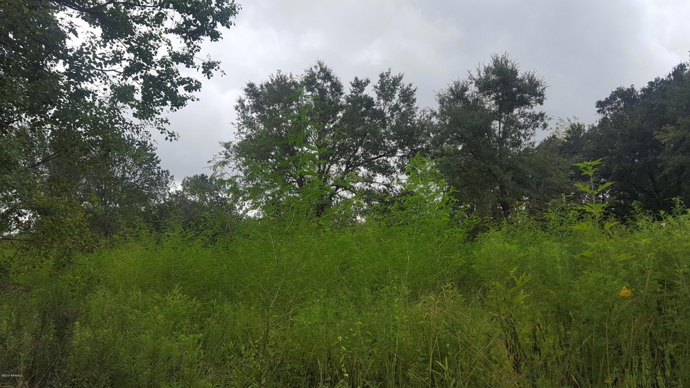 000 Mamou Praire Rd, Basile, LA 70515 - photo 1