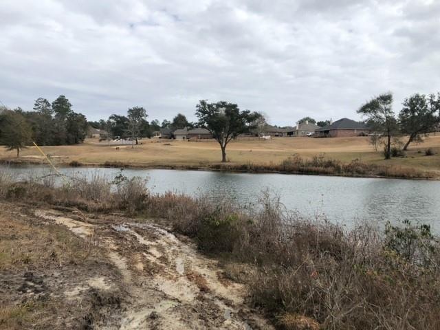 0 Dutchman Woods Dr unit 7003635, Mobile, AL 36695 - photo 1