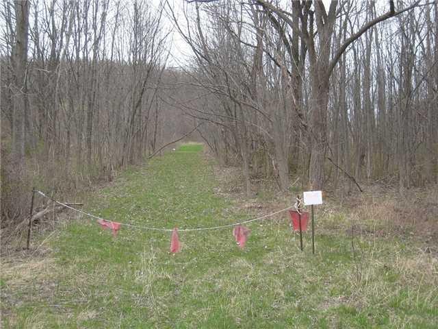 Land. Looking at the lane way / driveway at Baptis