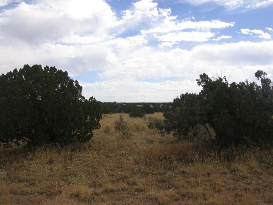 Primary Photo