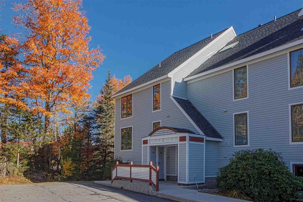 13 Northbrook Village Rd unit 8C, Dover, VT 05356 - photo 1