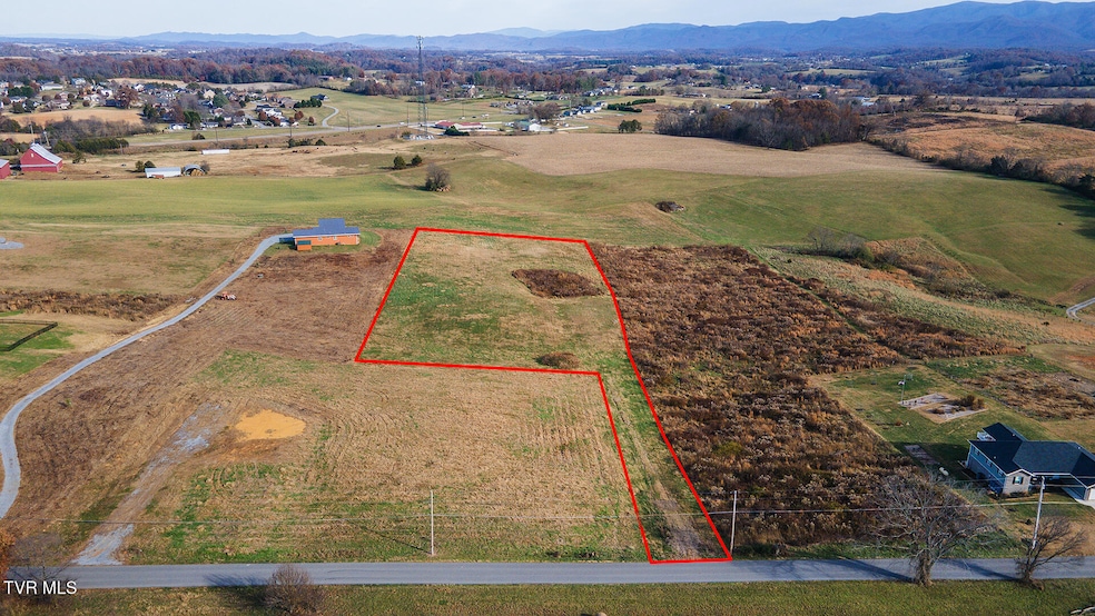 Tbd Browns Bridge Rd, Greeneville, TN 37745 - photo 1