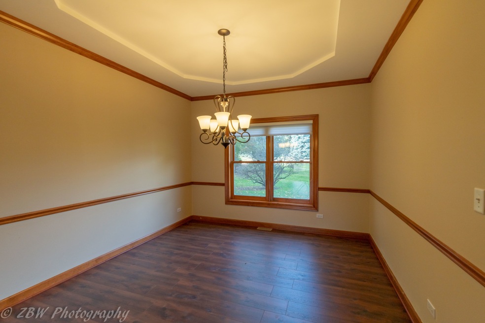 23922 Pheasant Run Ct, Naperville, IL 60564 - photo 1