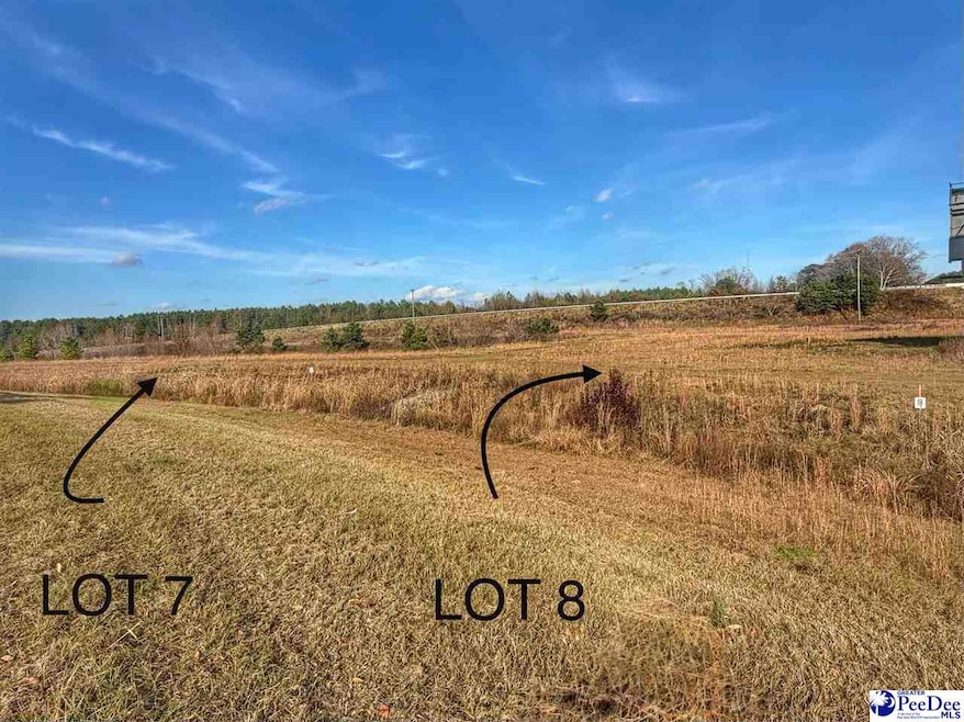 Lot 7 Mallory Beach Rd, Latta, SC 29565 - photo 1