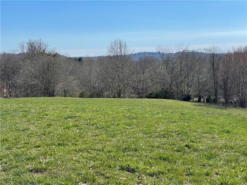 3822 Chestatee, Gainesville, GA 30506 - photo 1