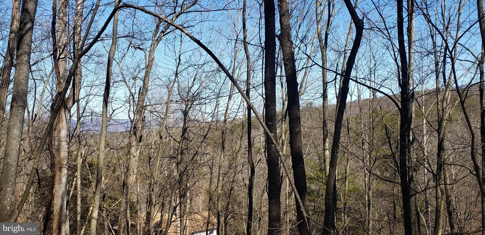 Lots 34 & 35 Aspen Way N, Basye, VA 22810 - photo 1