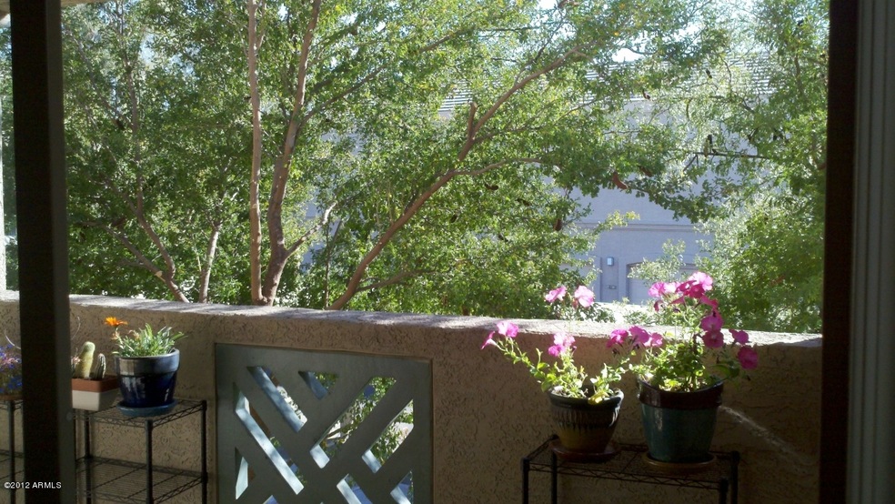 Patio Area