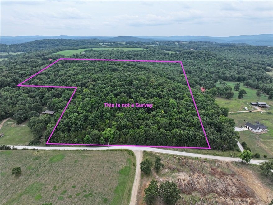 unlisted-address, Elkins, AR 72701 - photo 1