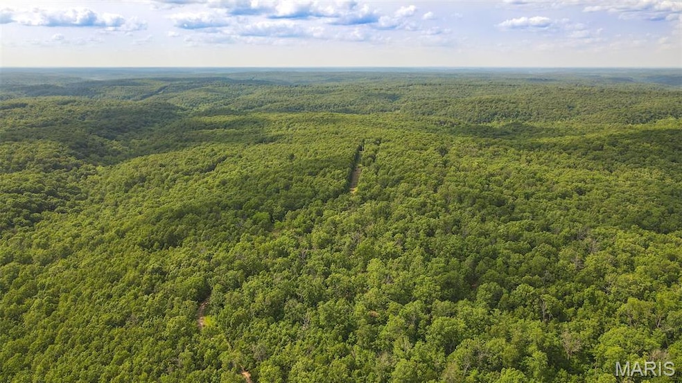 Aerial view of a forest