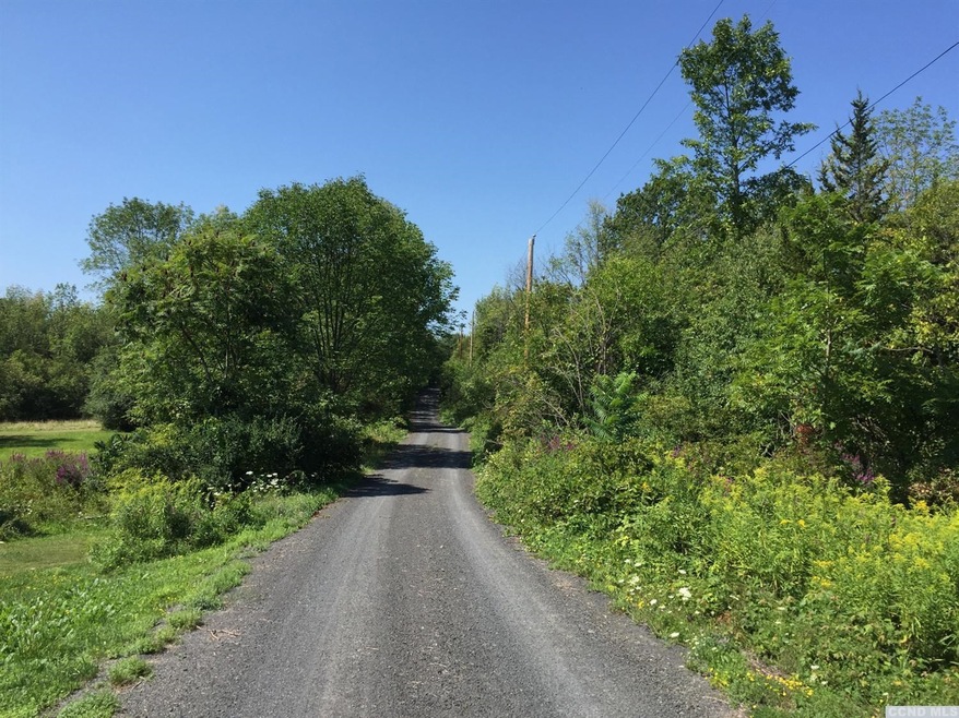 0 Schoharie Turnpike unit 117382, Athens, NY 12015 - photo 1