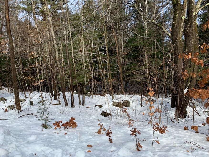 0 Welchs Ln unit 1400175, Sanford, ME 04073 - photo 1