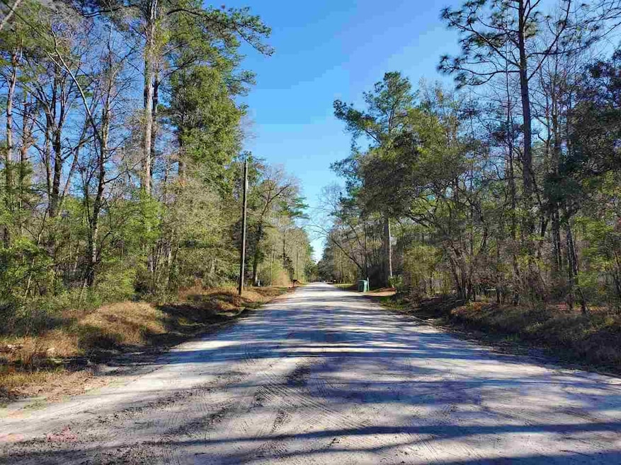 0 Choctaw Rd unit 393947, Crawfordville, FL 32327 - photo 1
