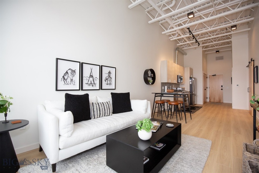 515 W Aspen St unit 317, Bozeman, MT 59715 - photo 1