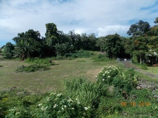 1767 Kilauea Ave, Hilo, HI 96720 - photo 1