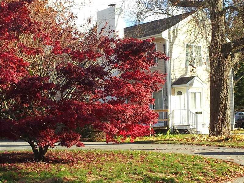242 Terrace Ave, Riverside, RI 02915 - photo 1
