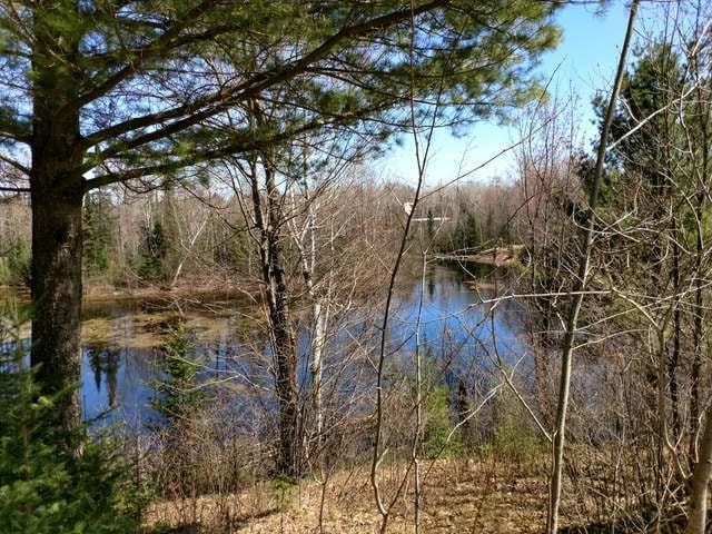 N 8992 Deer Tr, Tomahawk, WI 54487 - photo 1