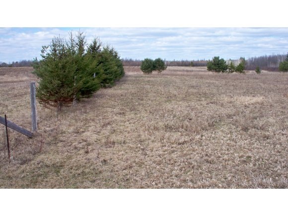 0 Hwy G unit 50098520, Porterfield, WI 54159 - photo 1