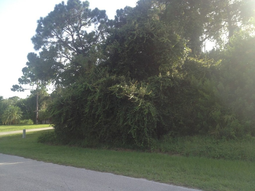 149 Filbert St, Sebastian, FL 32958 - photo 1