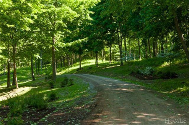 338 Shookville Rd, Red Hook, NY 12571 - photo 1