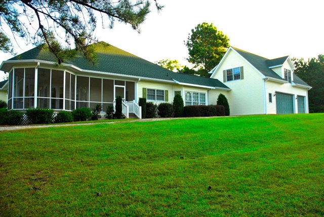 Main View