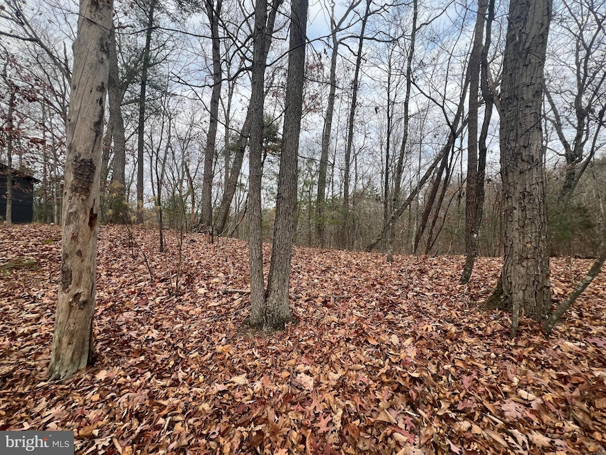 0 Brawley unit VASH2007464, Basye, VA 22810 - photo 1