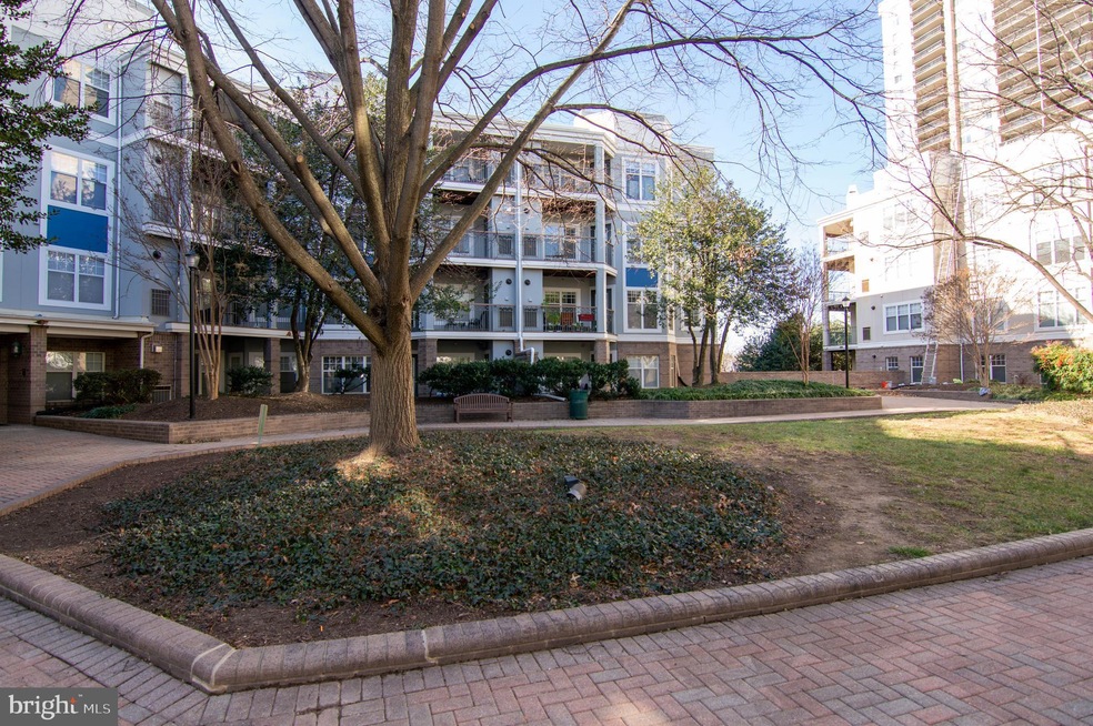 5575 Seminary Rd unit 102, Falls Church, VA 22041 - photo 1