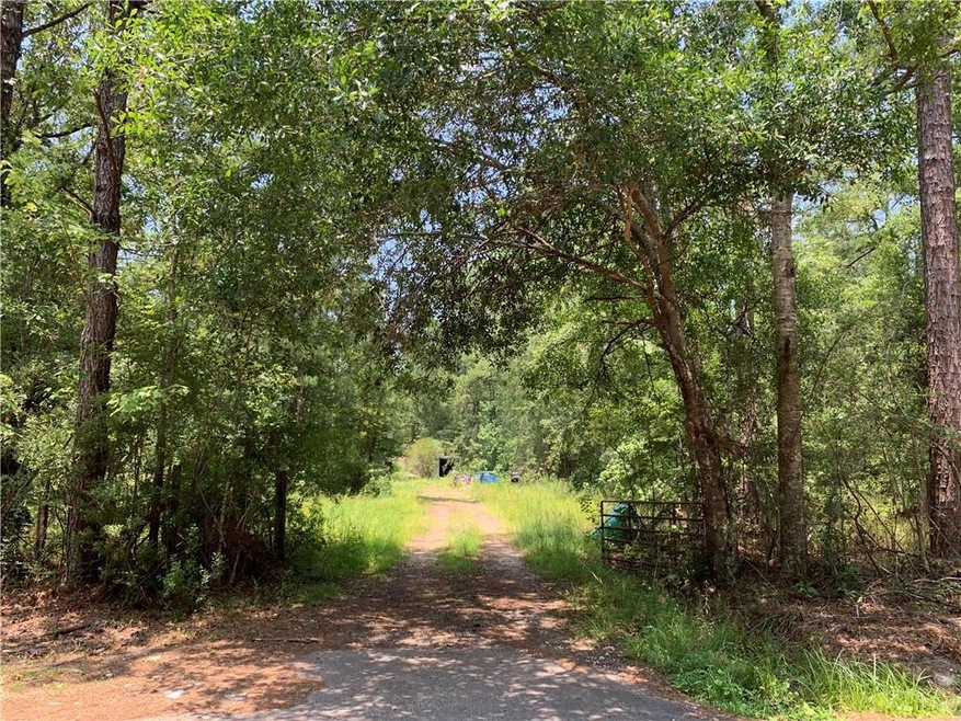 Driveway