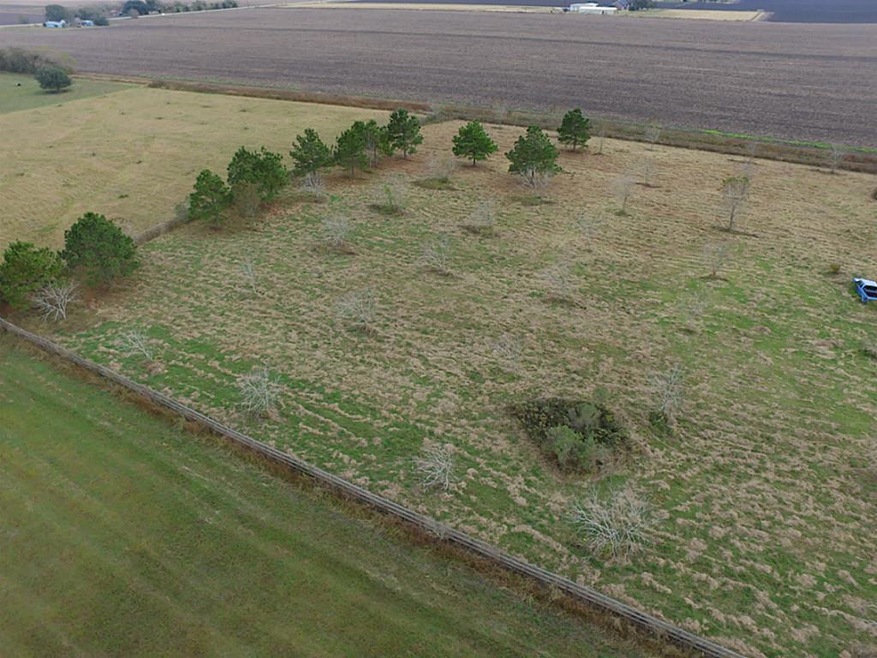 7211 Kelly Ln Tract 26, Richmond, TX 77469 - photo 1