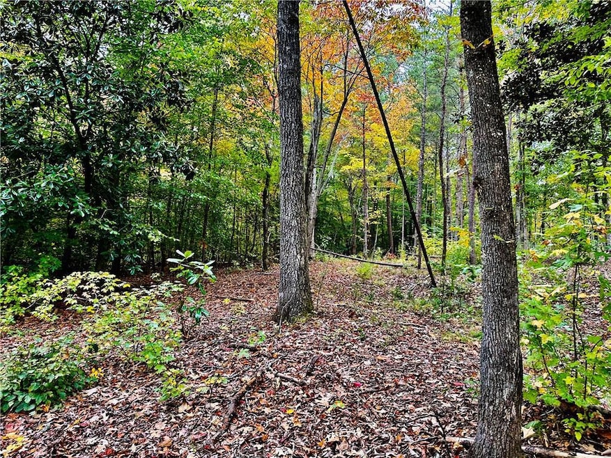 86 Yonah Lake Dr, Sautee Nacoochee, GA 30571 - photo 1