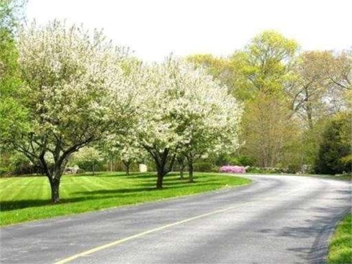 33 Hidden Bay Dr, South Dartmouth, MA 02748 - photo 1