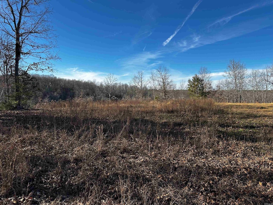 000 Heulan Way, Mountain View, AR 72560 - photo 1