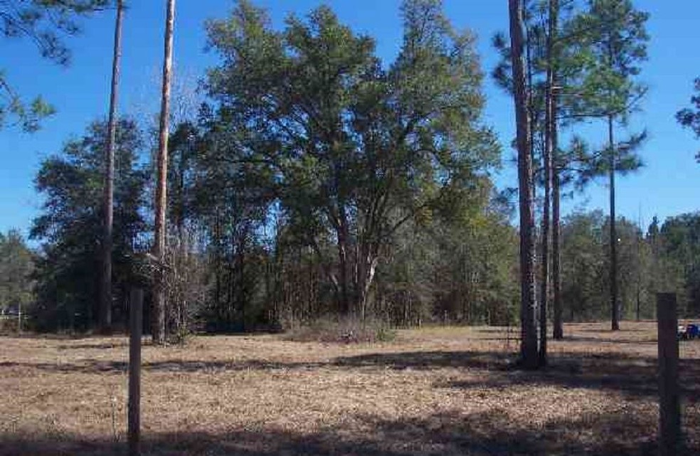 95 Windsong Cir S, Crawfordville, FL 32327 - photo 1