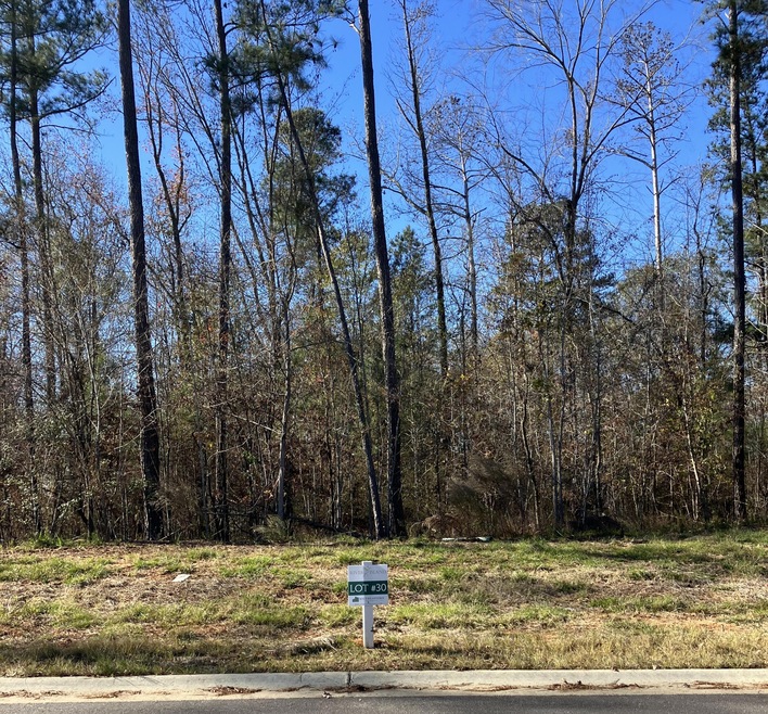 Wooded Lot