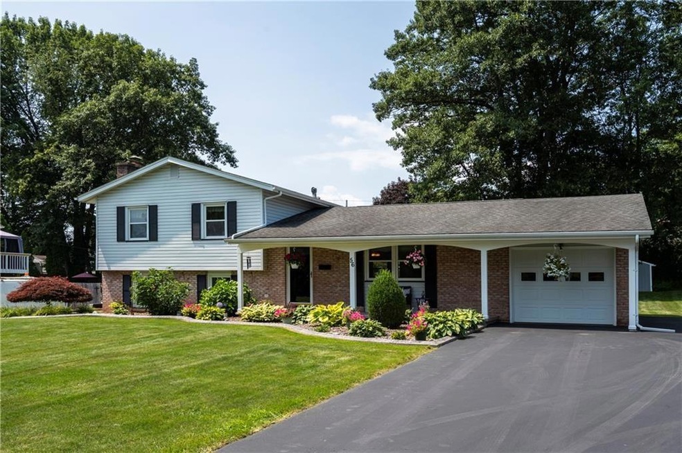 Welcome to 56 Daunton