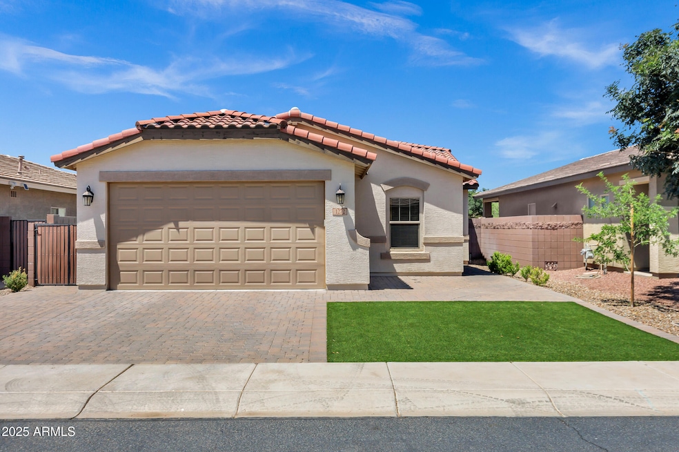 Low Maintenance Turf