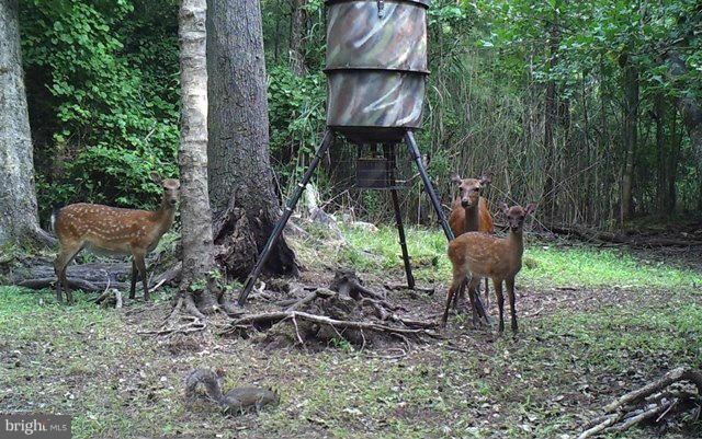 0 Andrews Rd unit 1001675899, Crapo, MD 21626 - photo 1