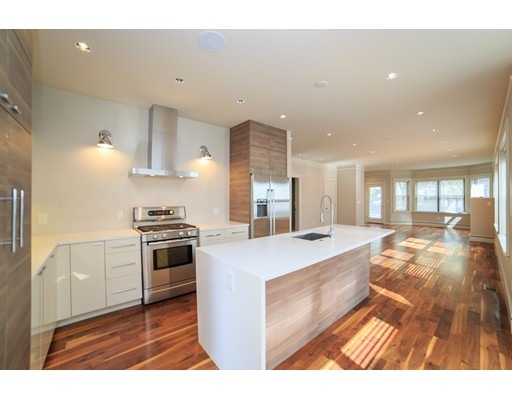 221 Wachusett St unit 225, Jamaica Plain, MA 02130 - photo 1