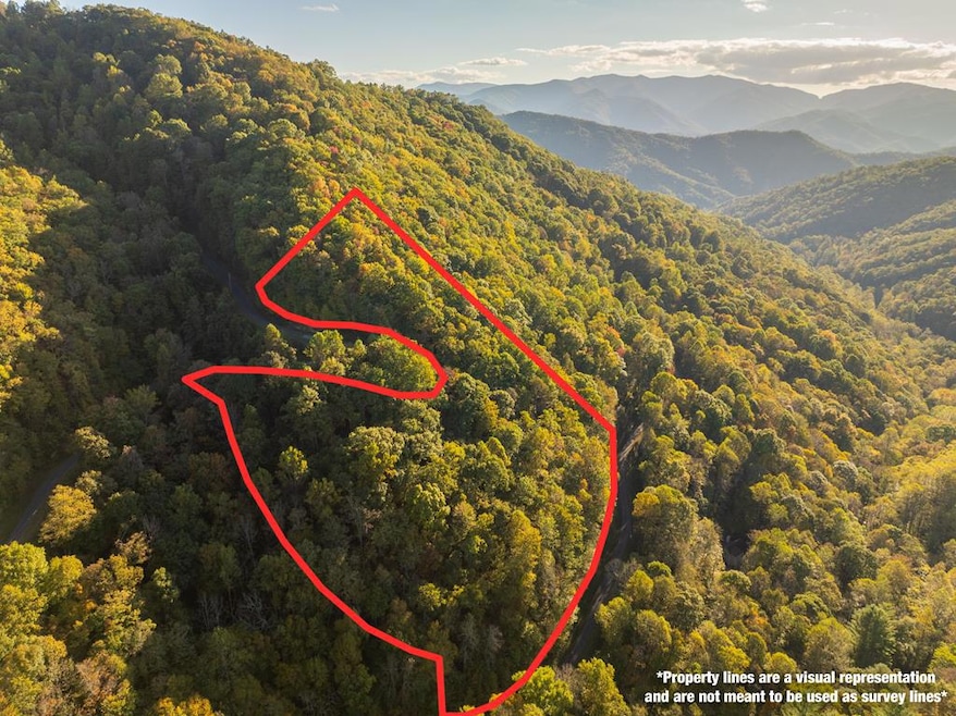 Lot 39 Brush Creek Mountain Rd, Bryson City, NC 28713 - photo 1