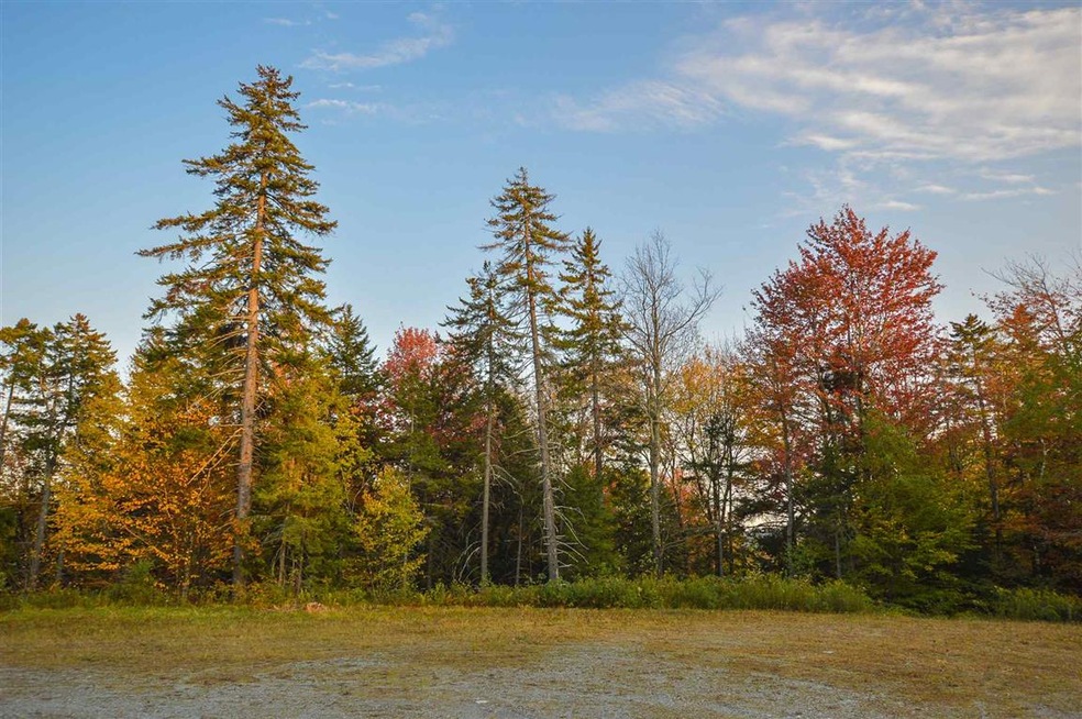 02 Turtle Hill Rd unit 2, Ludlow, VT 05149 - photo 1