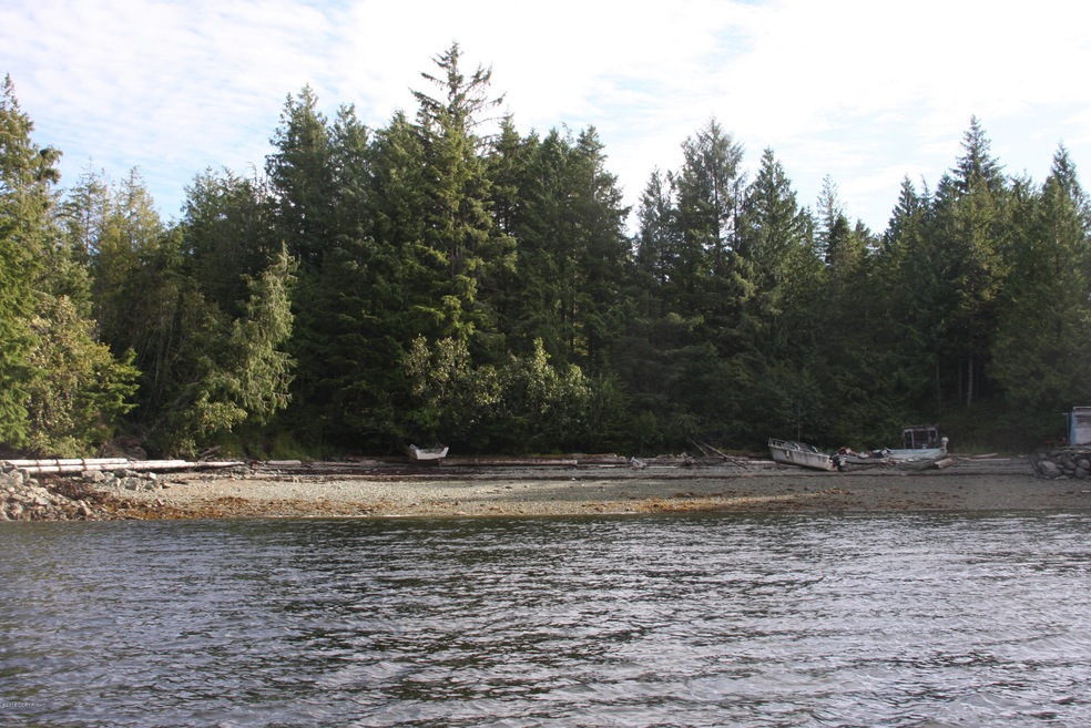 Alpha Diversified- Main photo