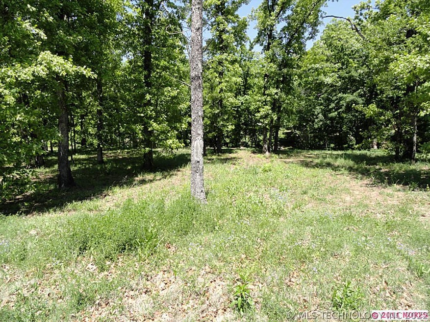 Lot 20, Blk 1 S Nandina Ct, Jenks, OK 74037 - photo 1