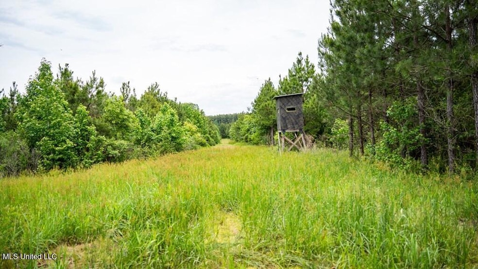 75 acres Morehouse Parish Hunting Land